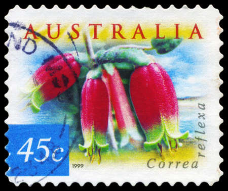 AUSTRALIA - CIRCA 1999: A Stamp printed in AUSTRALIA shows the Correa reflexa, Flowers series, circa 1999のeditorial素材