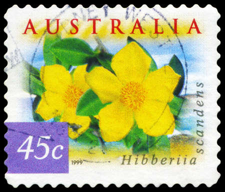 AUSTRALIA - CIRCA 1999: A Stamp printed in AUSTRALIA shows the Hibbertia scandens, Flowers series, circa 1999のeditorial素材
