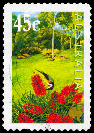 AUSTRALIA - CIRCA 2000: A Stamp printed in AUSTRALIA shows the Swamp Bottlebrush and Eastern Spinebill, Gardens series, circa 2000のeditorial素材