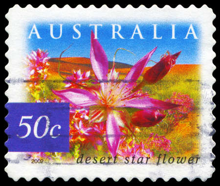 AUSTRALIA - CIRCA 2002: A Stamp printed in AUSTRALIA shows the Desert star flower, Flowers series, circa 2002のeditorial素材