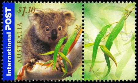 AUSTRALIA - CIRCA 2002: A Stamp printed in AUSTRALIA shows the Koala, International Post series, circa 2002のeditorial素材