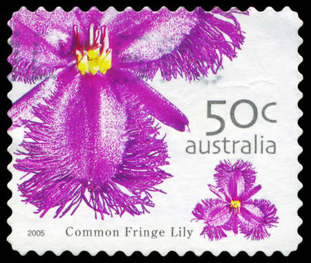 AUSTRALIA - CIRCA 2005: A Stamp printed in AUSTRALIA shows the Common fringe lily, Wild Flowers series, circa 2005のeditorial素材