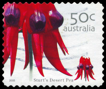 AUSTRALIA - CIRCA 2005: A Stamp printed in AUSTRALIA shows the Sturts Desert Pea, Wild Flowers series, circa 2005のeditorial素材