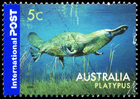 AUSTRALIA - CIRCA 2006: A Stamp printed in AUSTRALIA shows the Platypus, Animals series, circa 2006のeditorial素材