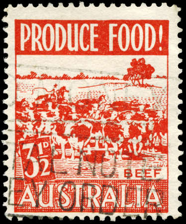 AUSTRALIA - CIRCA 1953: A Stamp printed in AUSTRALIA shows the Cattle, issued to encourage food production, circa 1953のeditorial素材