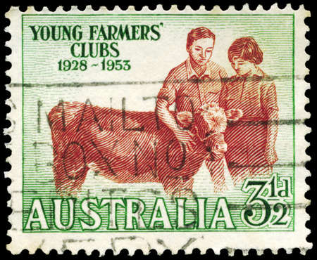AUSTRALIA - CIRCA 1953: A Stamp printed in AUSTRALIA shows the Boy and Girl with Calf, Young Farmersâ Clubs, 25th anniversary, circa 1953のeditorial素材