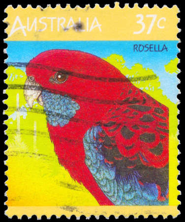 AUSTRALIA - CIRCA 1987: A Stamp printed in AUSTRALIA shows the Rosella, Fauna series, circa 1987のeditorial素材