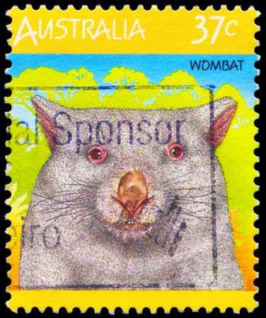 AUSTRALIA - CIRCA 1987: A Stamp printed in AUSTRALIA shows the Wombat, Fauna series, circa 1987のeditorial素材