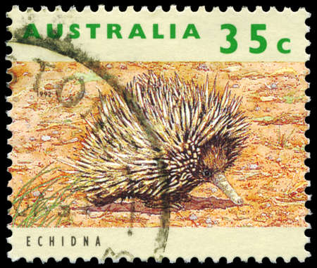 AUSTRALIA - CIRCA 1992: A Stamp printed in AUSTRALIA shows the Echidna, Threatened Species series, circa 1992のeditorial素材