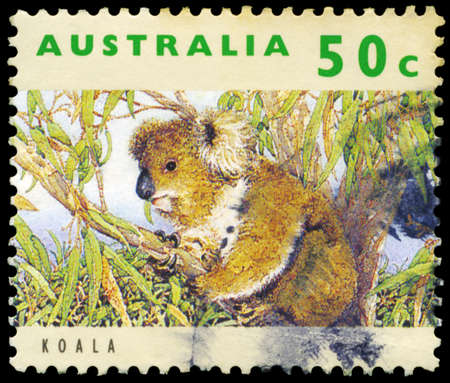 AUSTRALIA - CIRCA 1992: A Stamp printed in AUSTRALIA shows the Koala, series, circa 1992のeditorial素材