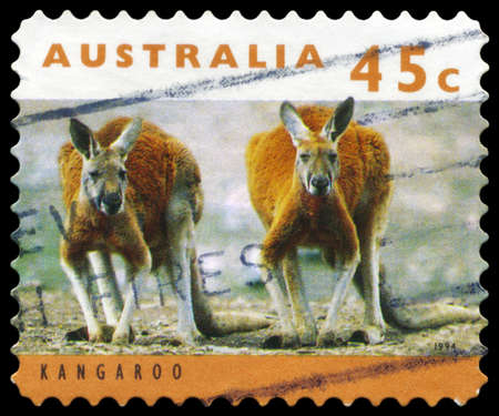 AUSTRALIA - CIRCA 1994: A Stamp printed in AUSTRALIA shows the Kangaroo, series, circa 1994のeditorial素材
