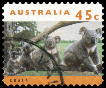 AUSTRALIA - CIRCA 1994: A Stamp printed in AUSTRALIA shows the Koalas, series, circa 1994のeditorial素材