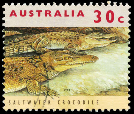AUSTRALIA - CIRCA 1994: A Stamp printed in AUSTRALIA shows the Saltwater Crocodile, series, circa 1994のeditorial素材