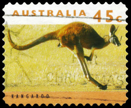 AUSTRALIA - CIRCA 1995: A Stamp printed in AUSTRALIA shows the Kangaroo, series, circa 1995のeditorial素材