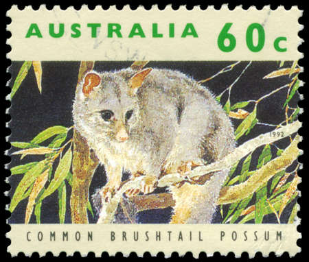 AUSTRALIA - CIRCA 1992: A Stamp printed in AUSTRALIA shows the Common Brushtail Possum, series, circa 1992のeditorial素材