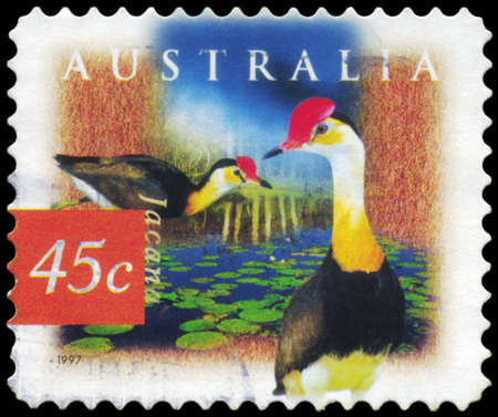 AUSTRALIA - CIRCA 1997: A Stamp printed in AUSTRALIA shows the Comb Crested Jacana, Fauna and Flora, series, circa 1997のeditorial素材