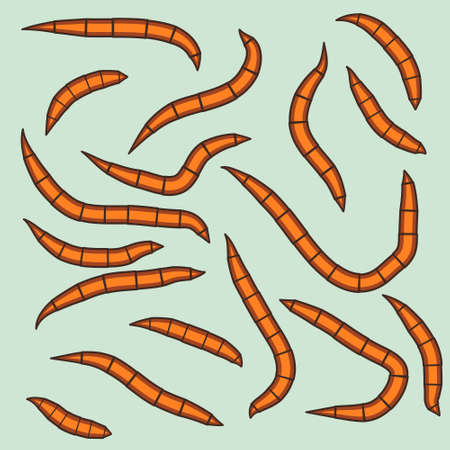 Illustration of the worm groupのイラスト素材