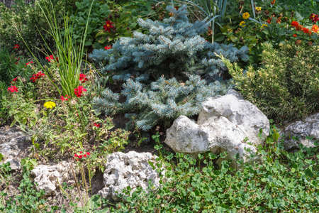 Landscape with the flowerbed decorationの写真素材