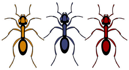 Illustration of the ant insect setのイラスト素材