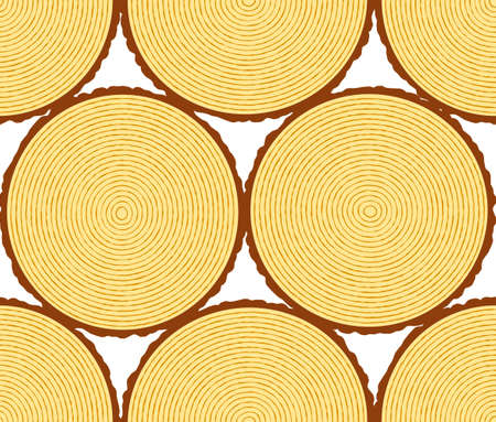 Illustration of the round wood sectionのイラスト素材