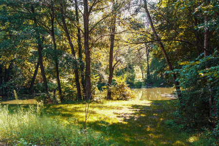 Landscape with the trees and riverの写真素材