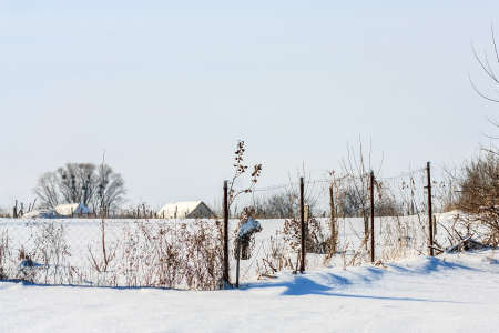 Rural winter landscape with wire entanglementの写真素材