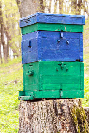 Landscape with the hive on a stump