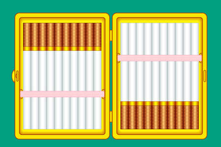 Illustration of the cigarette case on green backgroundのイラスト素材