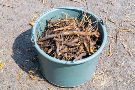 Plastic bucket with medicinal raw materials