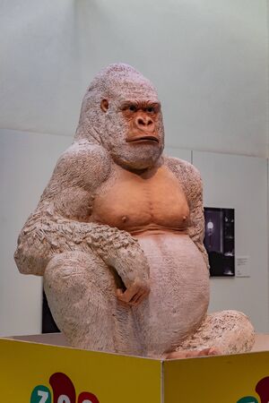 Copito (gorilla albino) in Zoo Barcelona city, Catalonia, Spainの写真素材