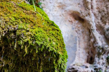 Sant Miquel del Fai in Barcelona, Catalonia, Spainの写真素材