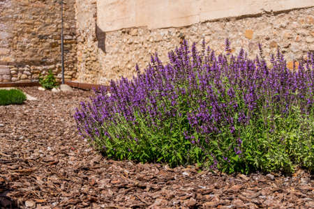 Montblanc village on Tarragona, Catalonia, Spainのeditorial素材