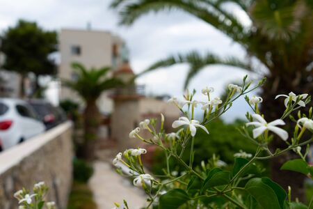 Las casetas del Garraf in Sitges, Barcelona, Catalonia.の写真素材