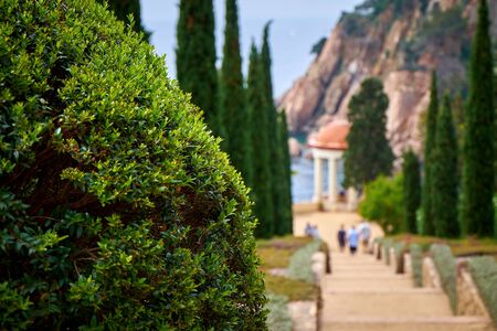 Marimurtra Botanical garden in Blanes, Catalonia.の写真素材