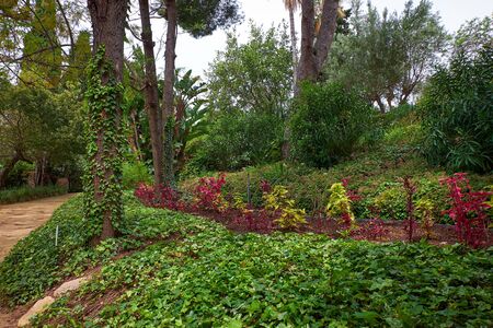 Marimurtra Botanical garden in Blanes, Catalonia.の写真素材