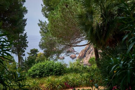 Marimurtra Botanical garden in Blanes, Catalonia.の写真素材