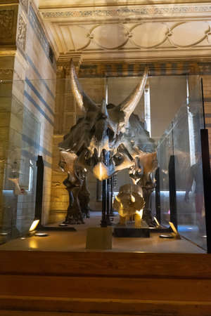 Natural History Museum in London, UK.のeditorial素材