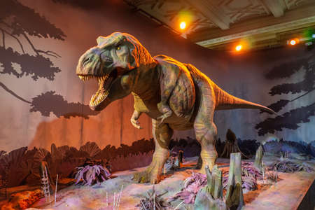 Natural History Museum in London, UK.のeditorial素材