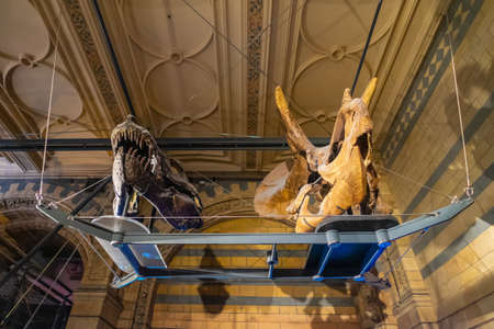 Natural History Museum in London, UK.のeditorial素材
