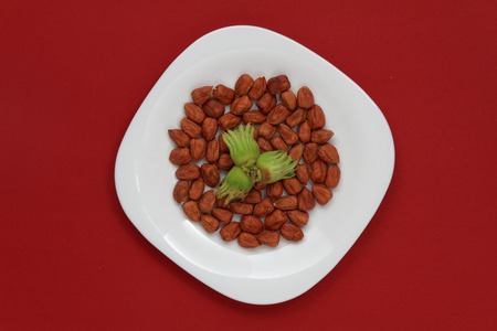 a few hazelnuts without nutshells on a white dishの写真素材