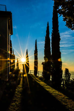 Natural Flare