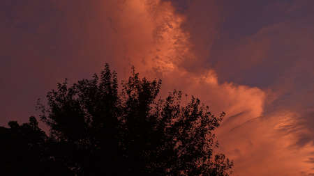 Stock Photo - red sky and silhouette tree at night