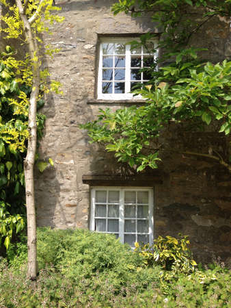 Cute cottage in countryside の素材