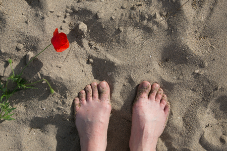 happy day on a beach with poppy flowerの写真素材