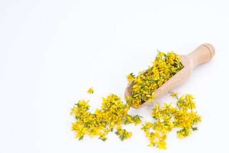 Perforate St John's-wort is very rare and healthy plantの写真素材