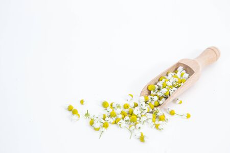Chamomile flowers with the spoon on the white backgroundの写真素材
