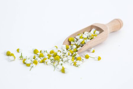 Chamomile flowers with the spoon on the white backgroundの写真素材