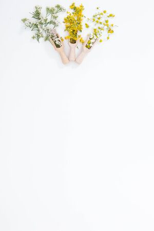 Perforate St John`s-wort is very rare and healthy plantの写真素材