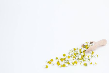 Chamomile flowers with the spoon on the white backgroundの写真素材