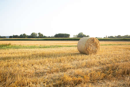 hay bales in the sunsetの写真素材